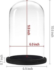 6 x 10 Inches Clear Glass Cloche Bell Jar Display Case w/ Rustic Black Wood Base