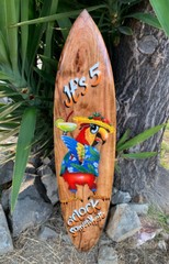 It’s 5 0’clock Somewhere Tropical Drinking Parrot Airbrushed Surfboard