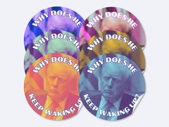 Sleepy Trump Stickers 50 Pack Waterproof Political Satire Decals Assorted 1.5″