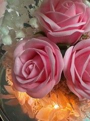 Mothers Day Mom Gift for her, Preserved Real Flower Rose in Large Glass Angel…