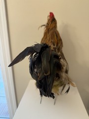 Realistic 18” Feathered Rooster Free Standing Country Farmhouse Rustic Decor