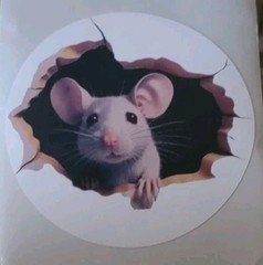 🤣1x Decal Prank Rat Mouse Hole In Wall Sticker Adhesive Room Bedroom Reusable