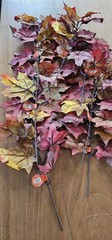 Fall Autumn Branches Stems Bundle Lot 60 BN