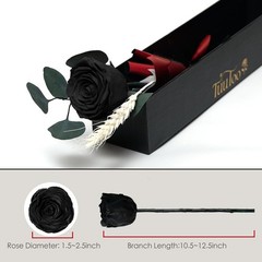 Forever Preserved Black Rose Birthday Gifts for Women,Eternal Flower Gifts for M