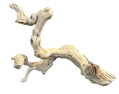 Natural Driftwood Sculpture 12″x9.5″ Organic Abstract Coastal Home Decor