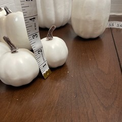 Artificial Pumpkins Assorted Sizes Rustic Harvest White Fall Decor Halloween