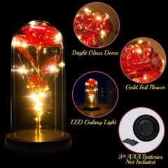 LED Rose Gifts for Women Flowers Rose in Glass Dome Birthday Valentines Day Gift
