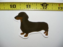 DACHSHUND SMALL STICKER DECAL SMOOTH FACING LEFT DOG SO PET PRIDE FUNNY