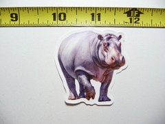 FEMALE HIPPO HIPPOPOTAMUS SMALL STICKER DECAL WILDLIFE PRESERVE NATURE ANIMAL