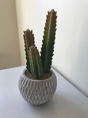 Ceramic Beige/White Potted ArtificialGreen Cactus Plant Home Decor, 10 x 4.25″
