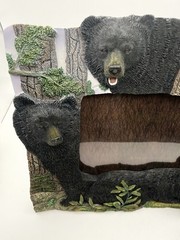 Nature’s Wild Picture frame. Popular Creations 2002. Black Bears. New