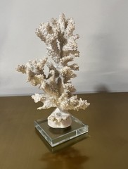 Vintage Natural White Coral Sculpture Lucite Base Hollywood Regency Decor