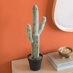 24.5 In. Green Indoor Succulent Artificial Cactus, Artificial Plant Fake Cactus