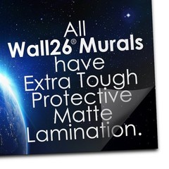 Sun Peaking Through The Trees in a Forest – Wall Mural – 100×144 inches