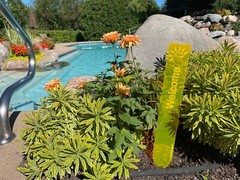 Cazador-del-sol WELCOME suncatcher-20″ x 3″ – YELLOW- Glows sunrise to sunset