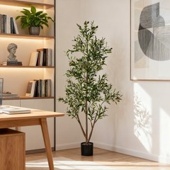 NOVAROOT 6FT Tall Olive Trees Artificial Indoor Faux Natural Wood Trunk Lifeli
