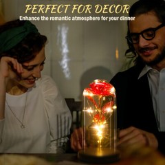 Eternal Forever Romantic Rose Flower In Glass Dome LED Light Mother’s Day Gift