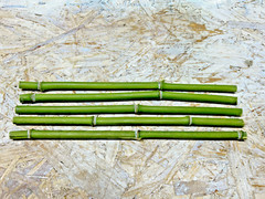 5PCS 1/2″ Diameter Fresh Cut Natural Bamboo For Decor 12″