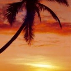 «Palm Tree in the Sunset» Large Door Poster 21″x62″ by GB eye DP0047 New Sealed