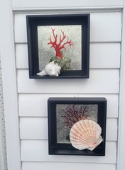 Coral Print, Mirror Effect Black Framed Shadow Boxes, Set of 2, Coastal Classy