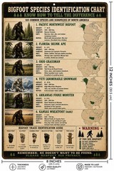 Funny Bigfoot Species Identification Chart Metal Sign Sasquatch Field Guide 8×12