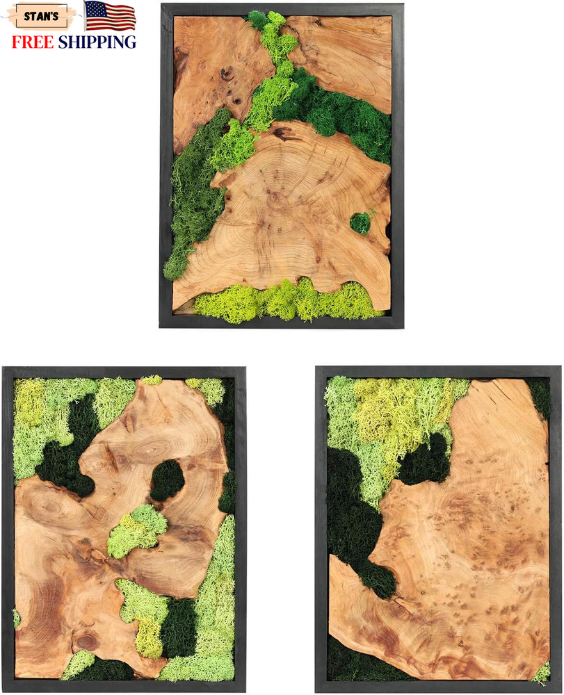 Rustic Natural Moss Wall Art Handcrafted Decor for Any Room No Maintenance NEW