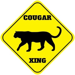 Yellow Aluminum Crossing Sign Cougar Cross Xing Style A Diamond Street Signal