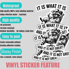 4pcs It Is What It Is and It’s Not Great Stickers – Funny Raccoon Meme Decals