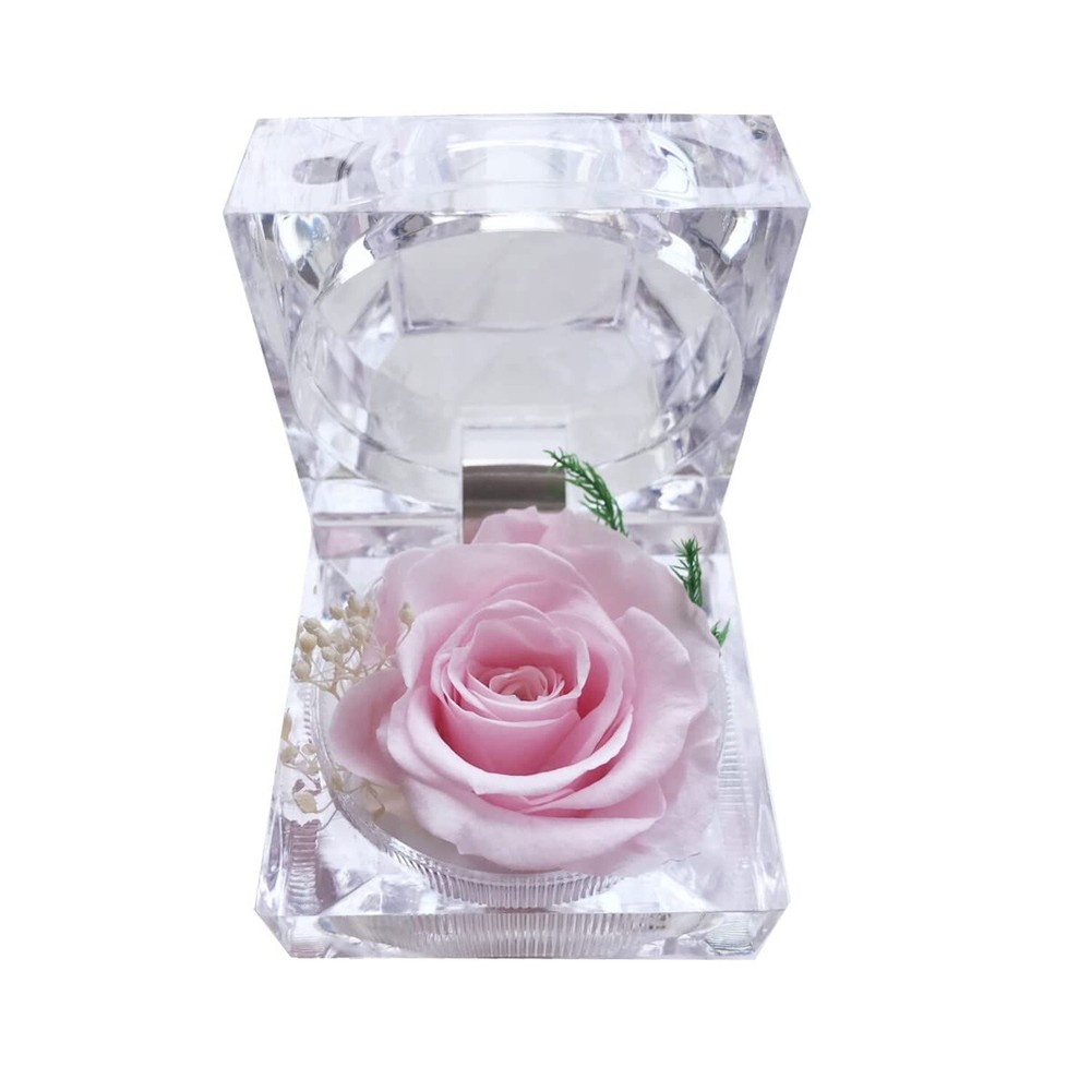 Preserved Rose Real Forever Rose in Mini Clear Ring Box, Eternal Flower Rose …