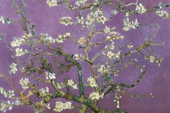 Vincent Van Gogh Almond Blossom Branches Purple Art Print Poster 36×24