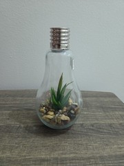 Light Bulb With Artificial Plant And Rocks Inside. 9″ Tall