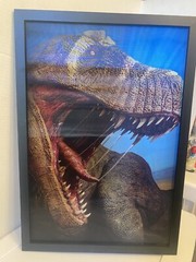 DINOSAUR 3D LENTICULAR HOLOGRAM POSTER 20in X 13in Framed JURASSIC Wall Art