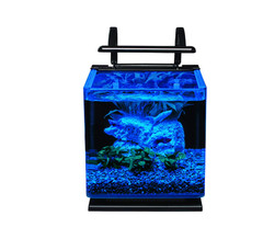 Marineland 3 Gallon Aquarium Kit, Glass Fish Tank with Filter and LED Lights