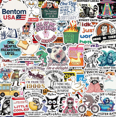 300 Pcs Funny Stickers for Adults, Water Bottle Vinyl Meme Laptop Waterproof Cut