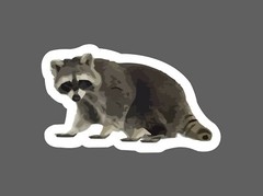 Raccoon Sticker Illustration Waterproof – Buy Any 4 For $1.75 Each Storewide!