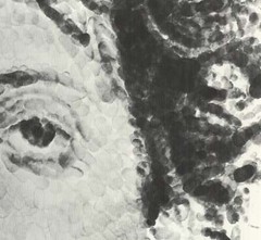 CHUCK CLOSE Large Phil Fingerprint 38.5″ x 26″ Poster 1981 Realism Black & White