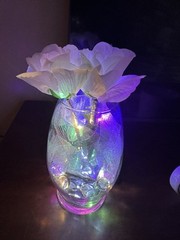 LED Multicolor Light Decor