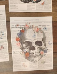 Floral Anatomy Canvas Wall Hangings 8×10 4pc Set Art Prints Home Decor New