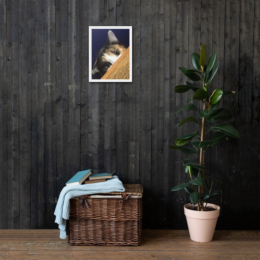 Kaliko Cat Framed canvas