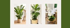 4 OZ Fake Moss for Potted Plants, Artificial Green Moss for Crafts Faux Moss for