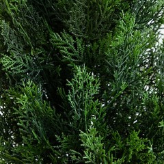 9’ Topiary Cedar Pine Artificial Tree Home Decor UV Indoor/Outdoor.