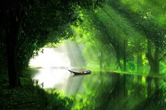 Boat in River Under Green Forest Shelter Photo Art Print Poster 24×36 inch