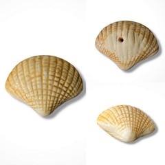Ceramic Seashell Wall Hangings Set of 7 Glazed Nautical Beach Decor Bathroom