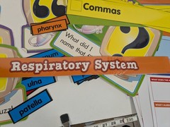 Huge Lot of Teacher Teacher Wall Hangings Signs Posters English Language Science