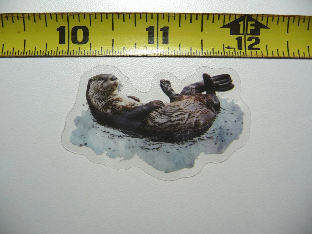 RIVER SEA OTTER SMALL STICKER DECAL WILDLIFE COLORFUL ZOO FUNNY