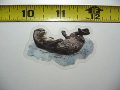 RIVER SEA OTTER SMALL STICKER DECAL WILDLIFE COLORFUL ZOO FUNNY