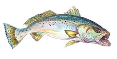 Speckled Trout Vinyl Decal Sticker Truck Boat Car Tumbler Cooler Cup Tablet