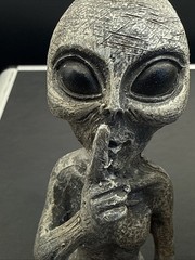 Alien Invasion “Peace & Quiet” 10″ H Shelf Sitters Set of 2 – Alien Gray Resin