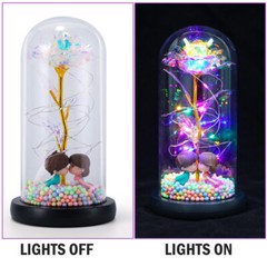Eternal Forever Galaxy Rose In Glass Flower LED Light For Women Valentine’s Gift
