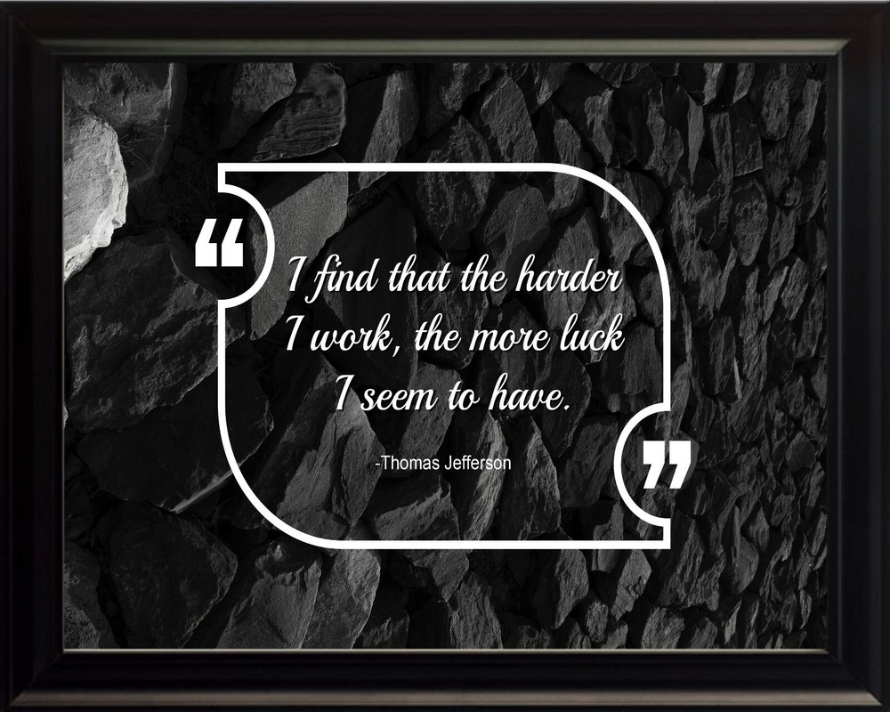 Thomas Jefferson I Find That Poster Print Picture or Framed Wall Art
